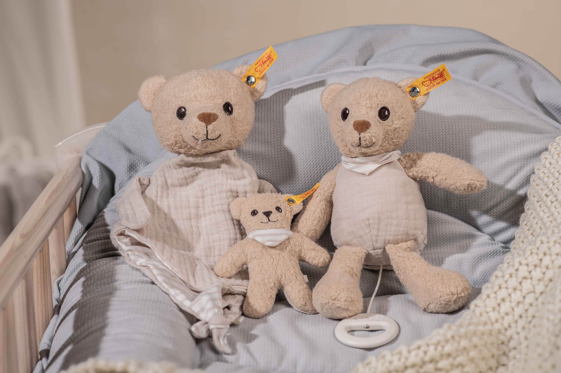 Steiff Teddy